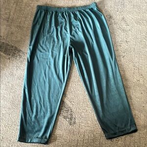 Ladies Bently Plus Teal velour feel Relaxed Fit Pants w/elastic waist Sz 2X